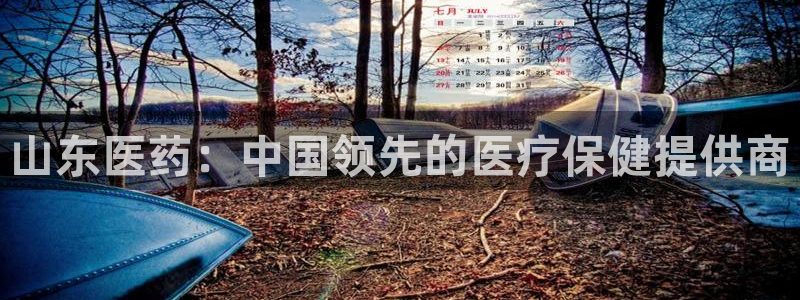 九游j9会