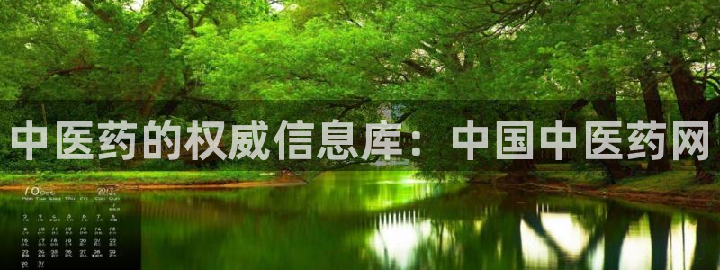 ag九游会