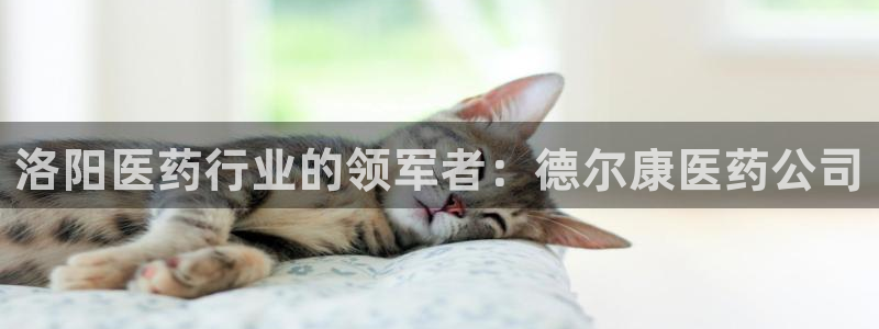 九游会视讯,九游会视讯厅