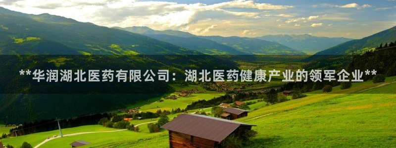 九游会大家觉得怎么样