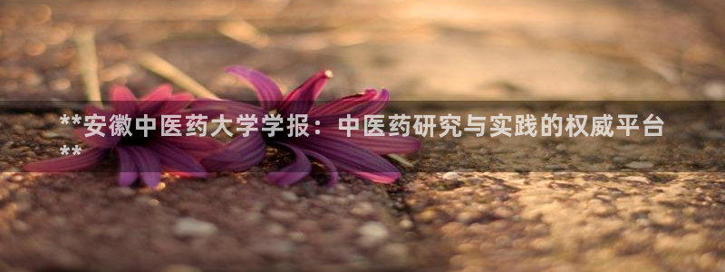 九游j9国际站官方网站