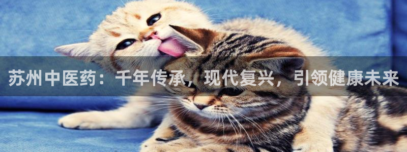 九游会 网址