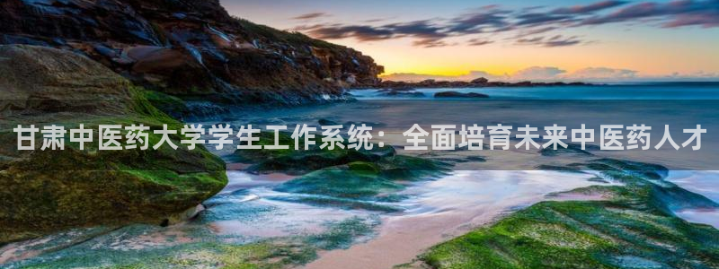 九游j9国际站