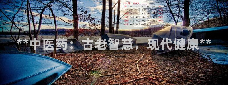 j9九游会官网入口