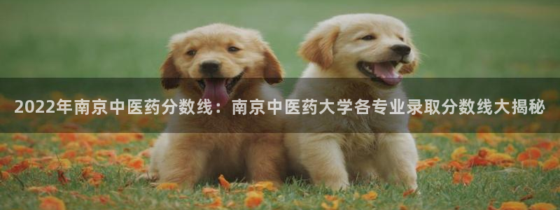 九游会倒闭
