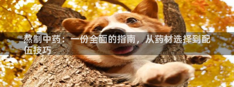 九游会集团新的选择