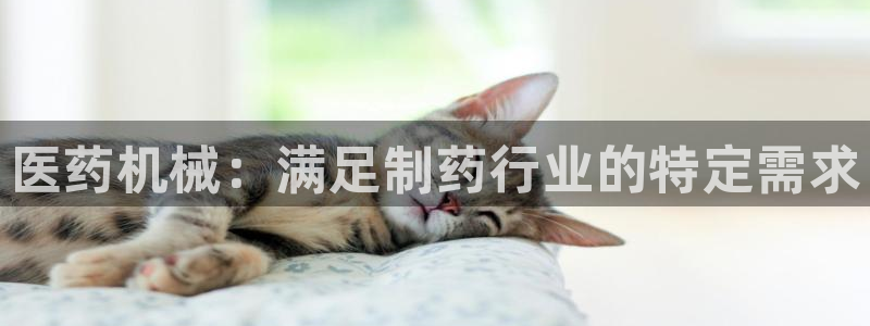 九游会 ag