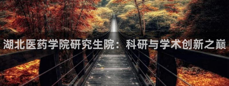 九游会上不去了