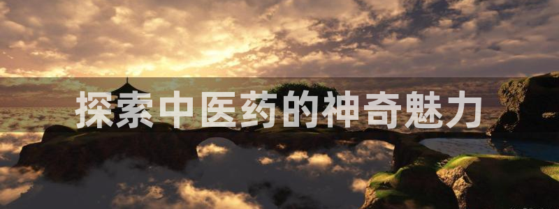j9九游会官方网站国际