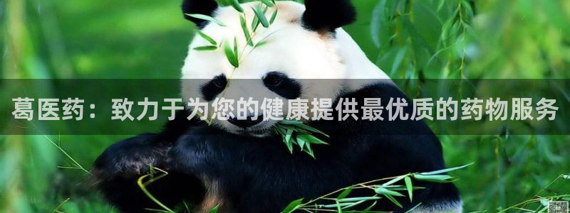 九游j9官方旗舰店