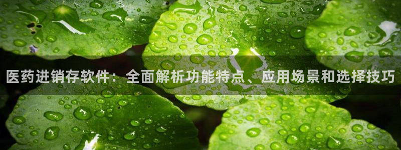 ag老帅百度百科