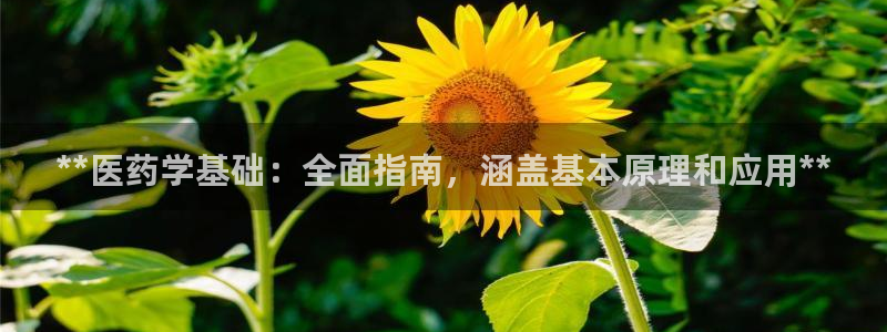 j9363九游会首页