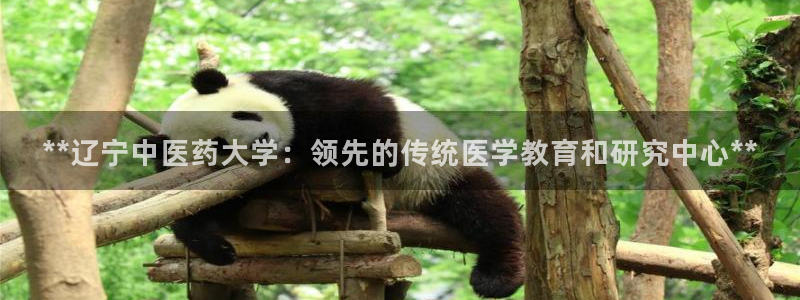 九游会网址是什么情况