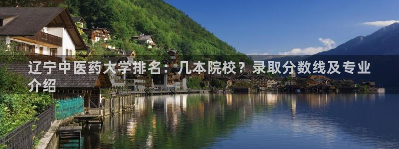 j9九游会官网入口