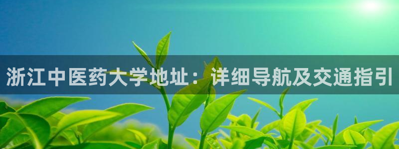 九游j9国际站