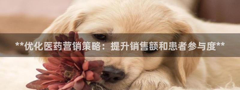 ag改九游会