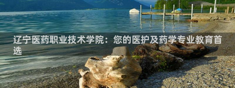 ag老帅百度百科