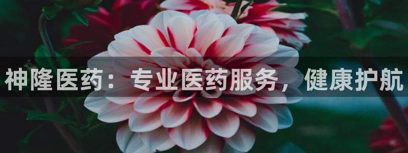 九游会官方地址