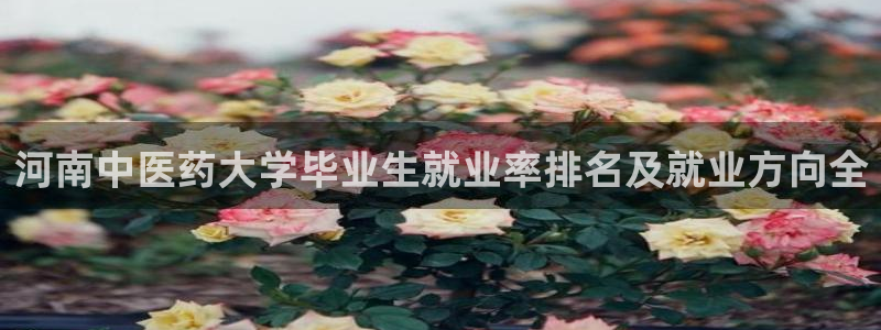 九游会usdt