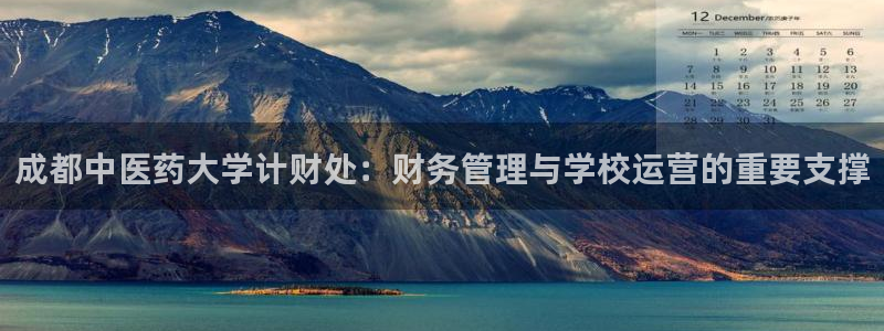 九游会是干嘛的