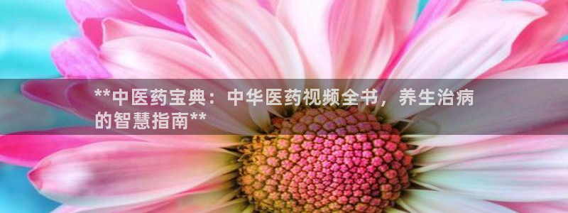 九游会J9登录入口