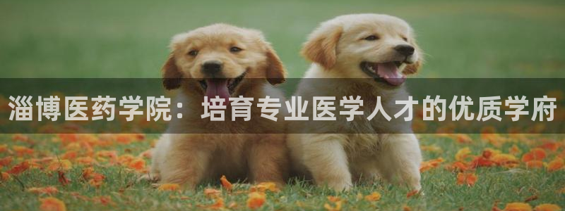 九游会j9登录官网