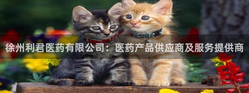 九游会怎么提款