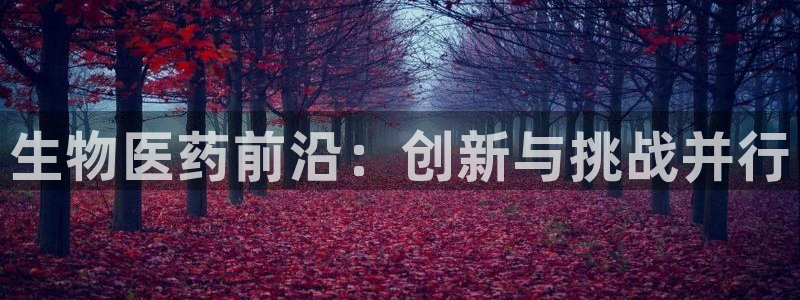 九游会怎么提款