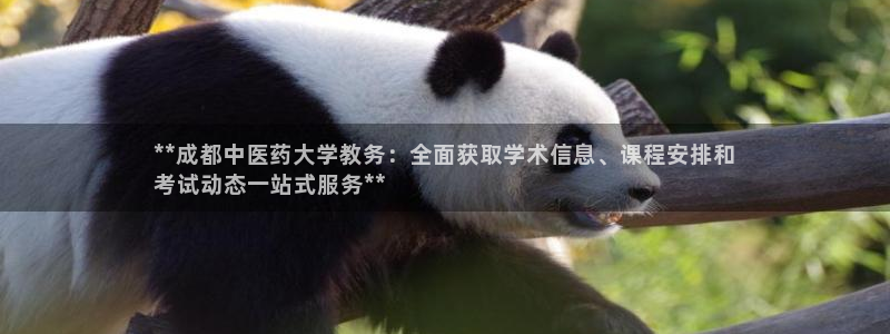 九游会官网进入口