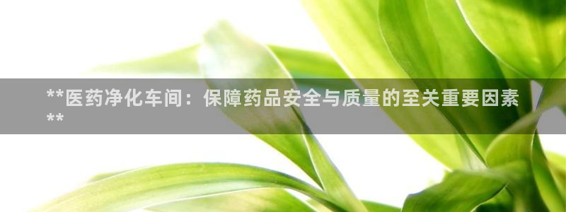 9游会app