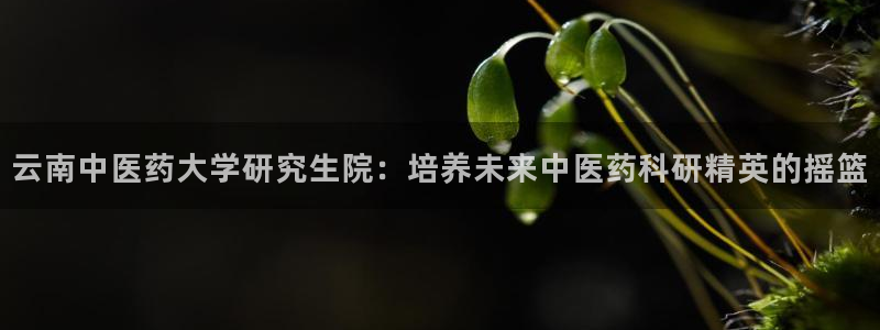 九游会国际厅