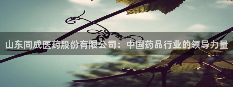 j9九游会跑路了吗