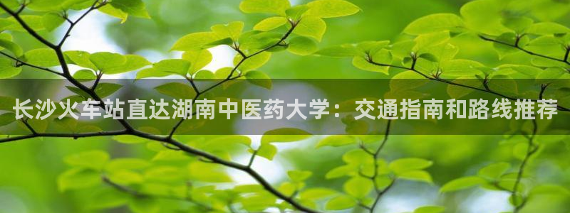 j9九游会vip