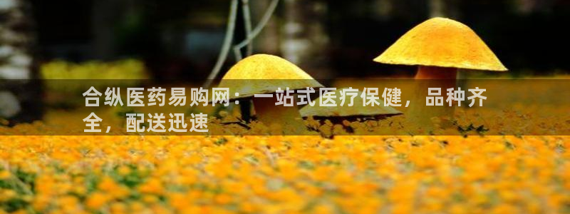 九游会ag318