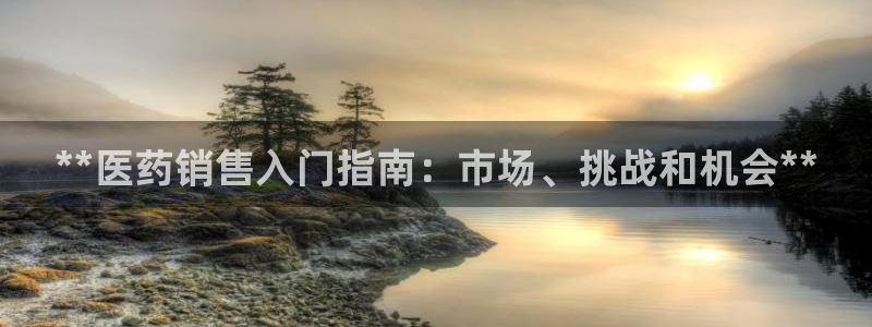 九游会国际站