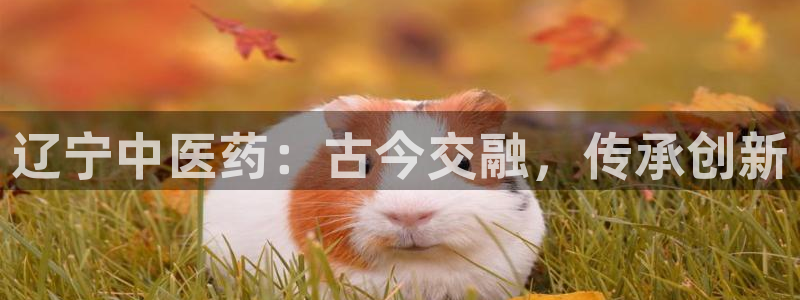 九游会上不去了