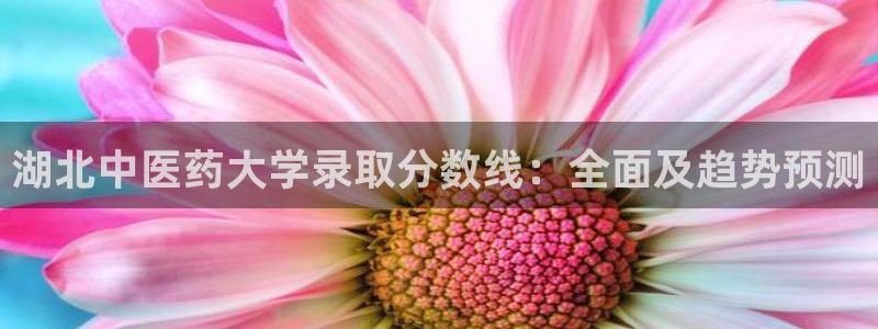 J9九游会登录入口首页旧版