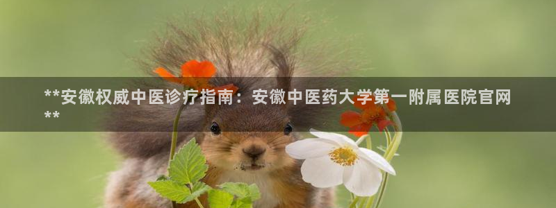 九游会ag首页