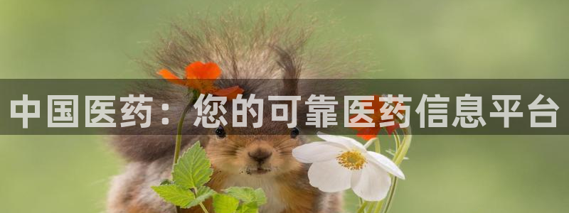 J9九游会手机登录