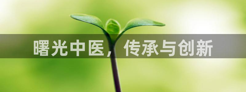 j9九游会真人游戏第一