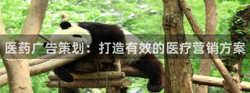 九游会网址是多少