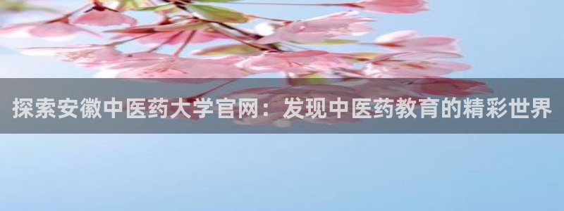 九游会ag真人官网