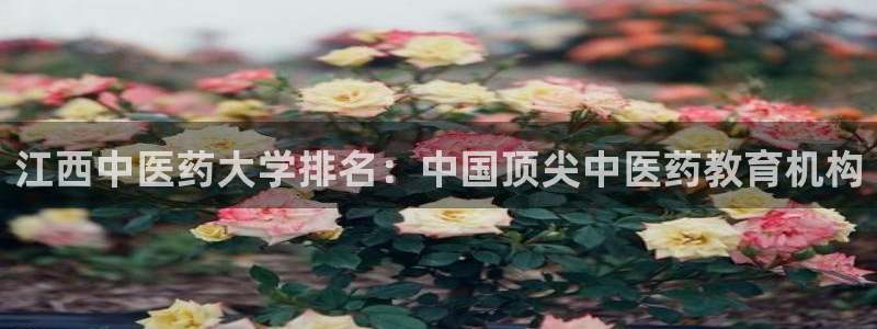 九游会平台登陆